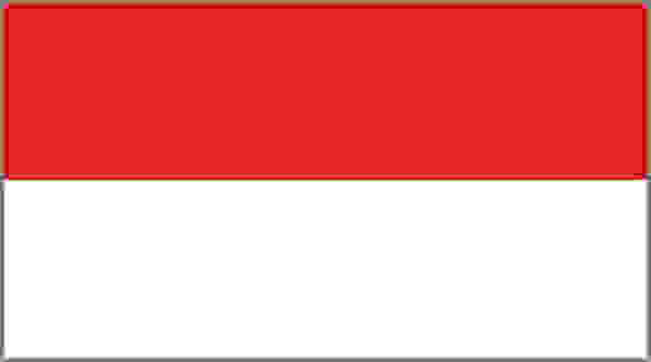 Flag of Indonesia: red upper half and white lower half.
