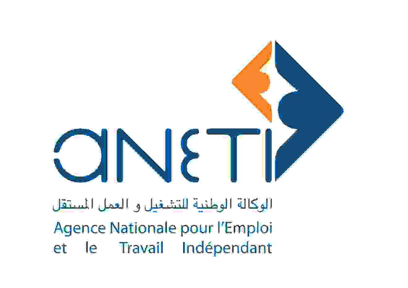 aneti logo