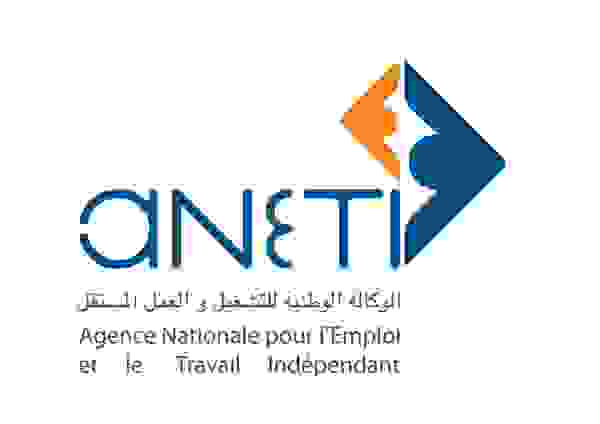 aneti logo