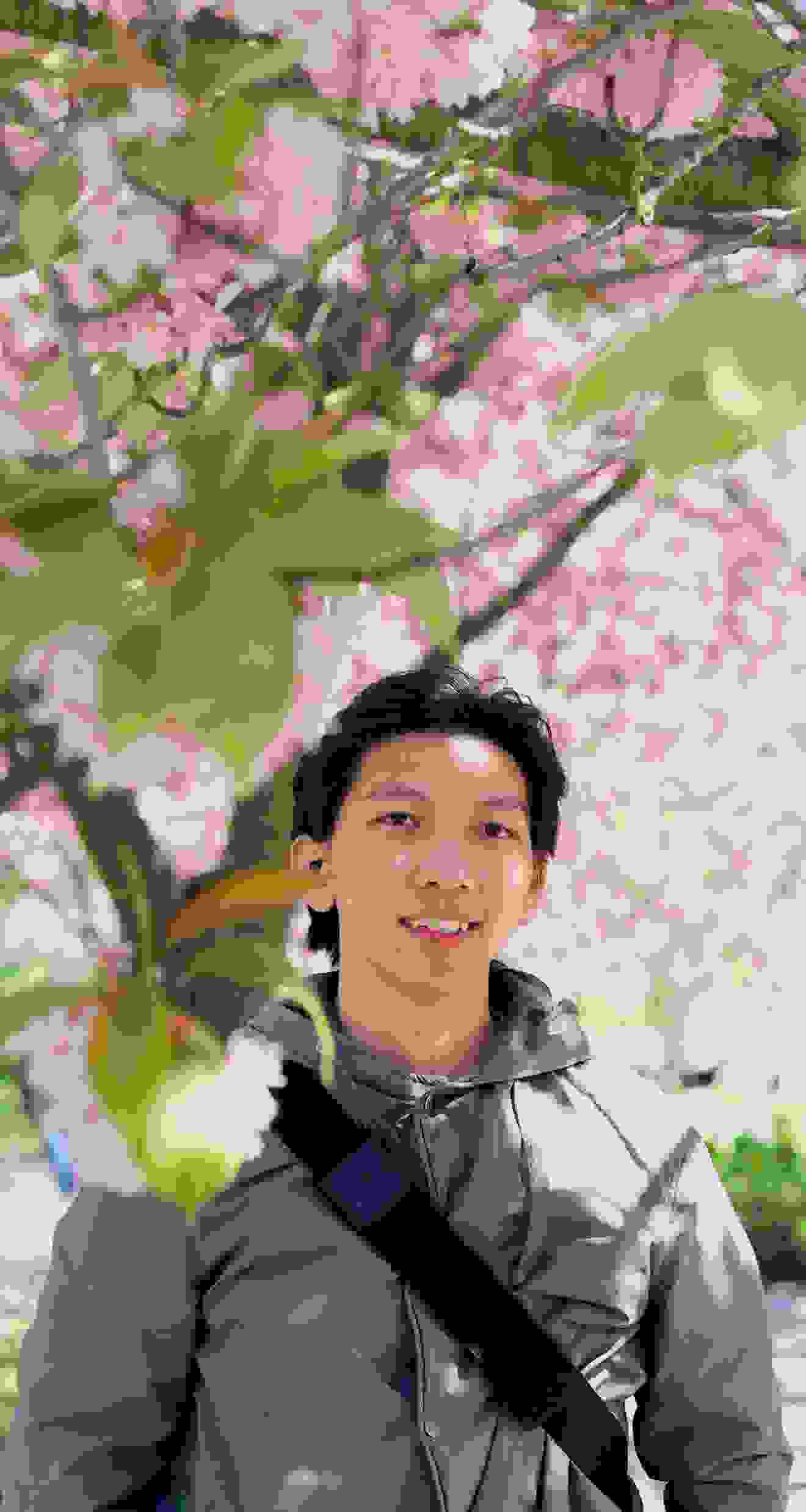 Seorang pemuda berdiri tersenyum di depan pohon sakura yang sedang mekar dengan bunga berwarna merah muda.
